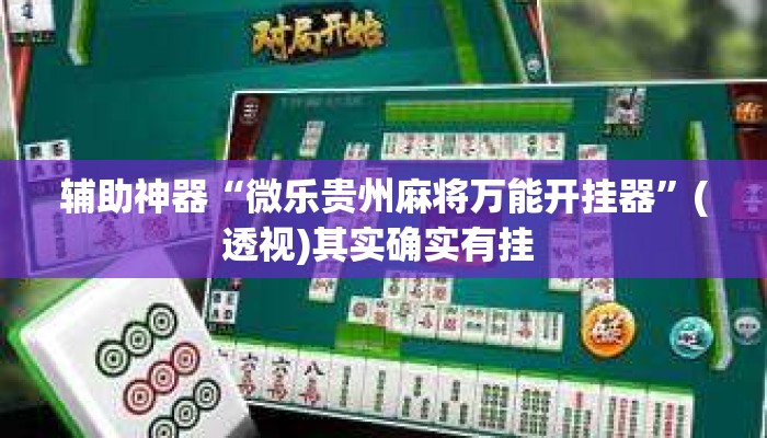 辅助神器“微乐贵州麻将万能开挂器”(透视)其实确实有挂 