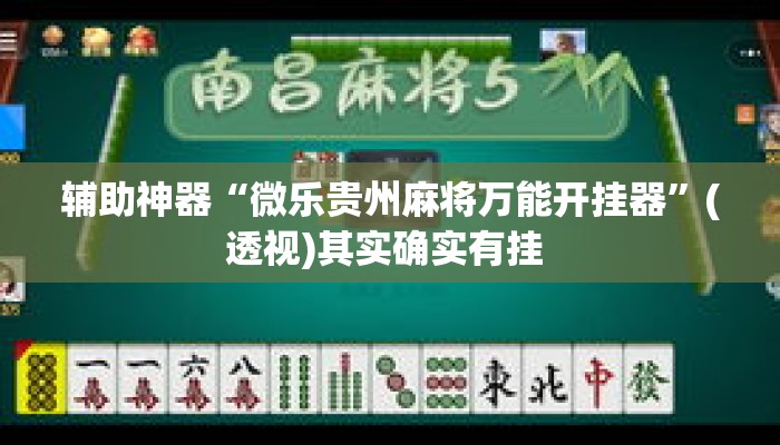 辅助神器“微乐贵州麻将万能开挂器”(透视)其实确实有挂 