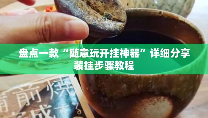 盘点一款“随意玩开挂神器	”详细分享装挂步骤教程