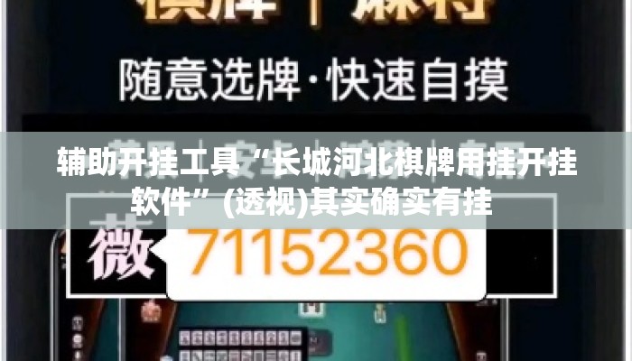辅助开挂工具“毛豆大厅开挂”其实确实有挂