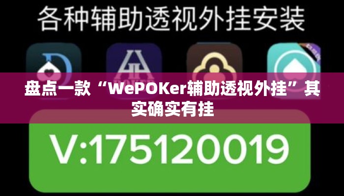 盘点一款“WePOKer辅助透视外挂”其实确实有挂
