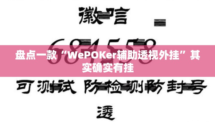 盘点一款“WePOKer辅助透视外挂”其实确实有挂