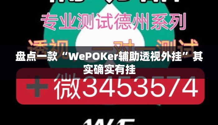 盘点一款“WePOKer辅助透视外挂	”其实确实有挂