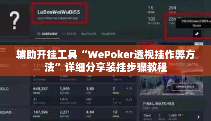 辅助开挂工具“WePoker透视挂作弊方法”详细分享装挂步骤教程
