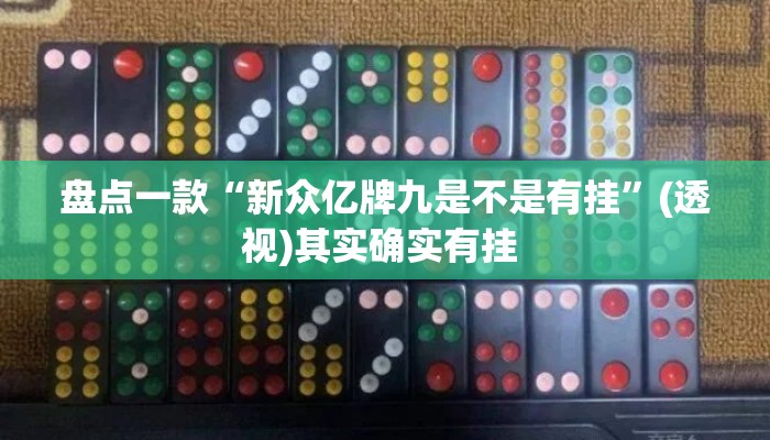 盘点一款“新众亿牌九是不是有挂”(透视)其实确实有挂 