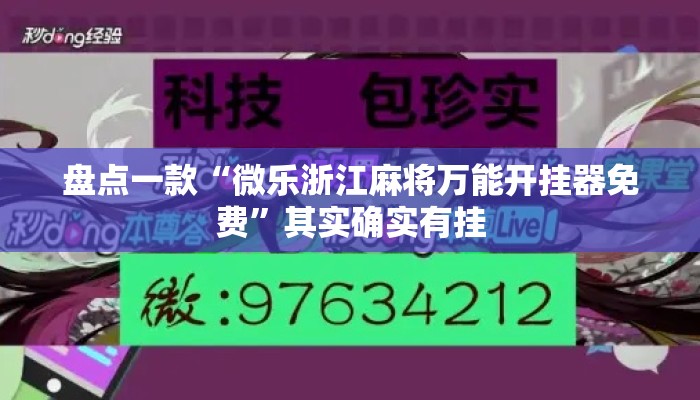盘点一款“微乐浙江麻将万能开挂器免费”其实确实有挂