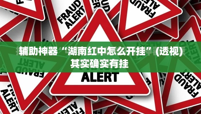 辅助神器“湖南红中怎么开挂”(透视)其实确实有挂 
