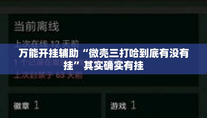 万能开挂辅助“微壳三打哈到底有没有挂”其实确实有挂
