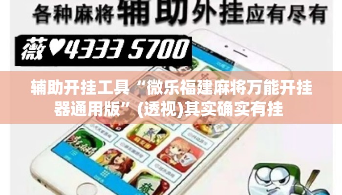 辅助开挂工具“微乐福建麻将万能开挂器通用版	”(透视)其实确实有挂 