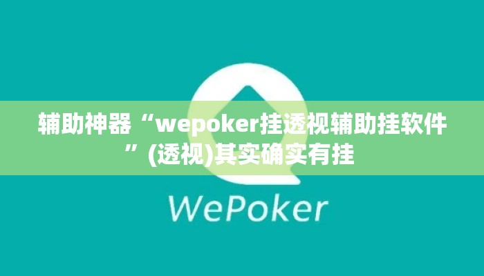 辅助神器“wepoker挂透视辅助挂软件”(透视)其实确实有挂 