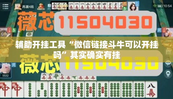 辅助开挂工具“微信链接斗牛可以开挂吗	”其实确实有挂