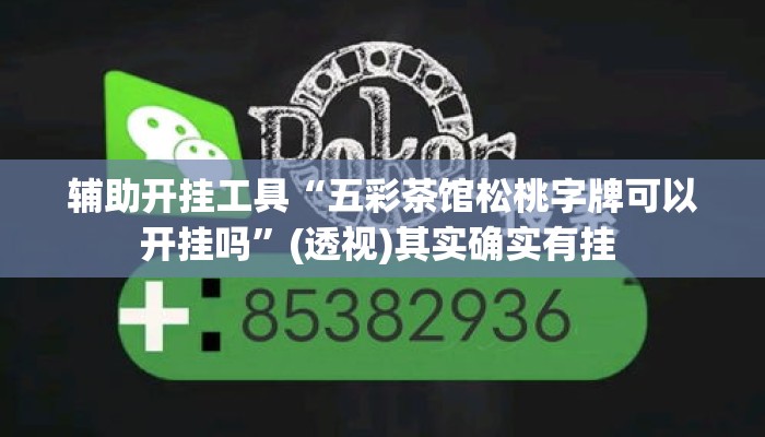 辅助开挂工具“五彩茶馆松桃字牌可以开挂吗”(透视)其实确实有挂 