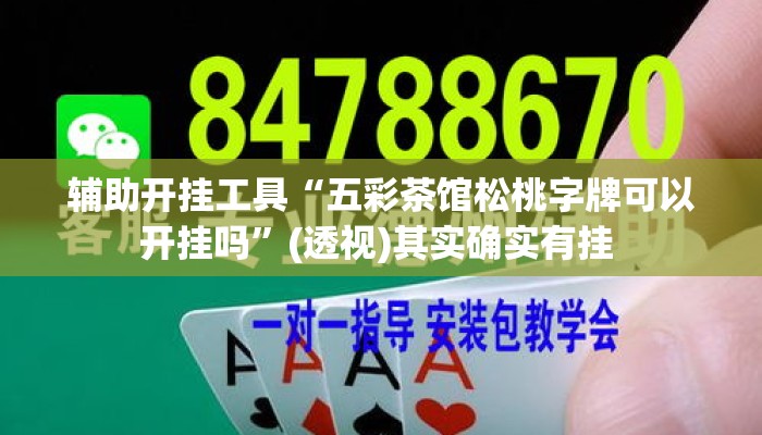辅助开挂工具“五彩茶馆松桃字牌可以开挂吗”(透视)其实确实有挂 