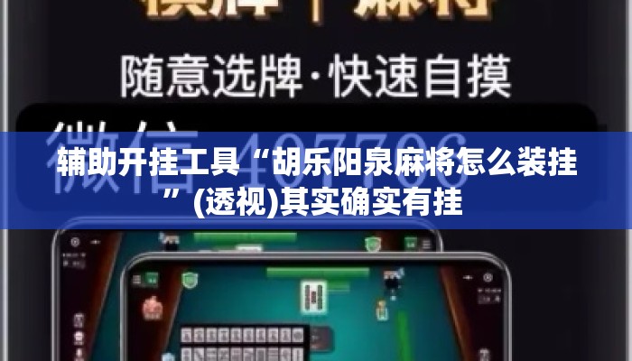 辅助开挂工具“胡乐阳泉麻将怎么装挂	”(透视)其实确实有挂 