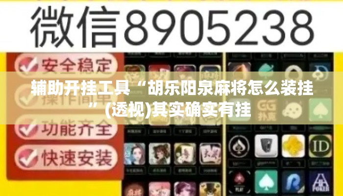 辅助开挂工具“胡乐阳泉麻将怎么装挂”(透视)其实确实有挂 