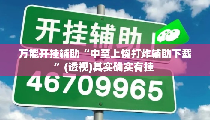 万能开挂辅助“中至上饶打炸辅助下载”(透视)其实确实有挂 