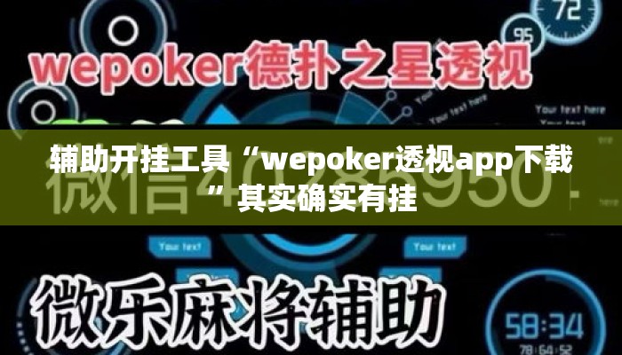 辅助开挂工具“wepoker透视app下载	”其实确实有挂