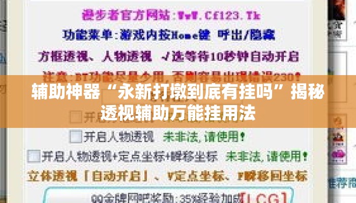 辅助神器“永新打墩到底有挂吗”揭秘透视辅助万能挂用法