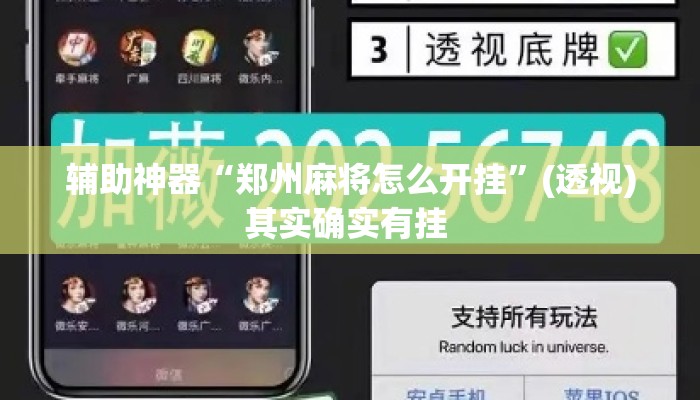 辅助神器“郑州麻将怎么开挂”(透视)其实确实有挂 