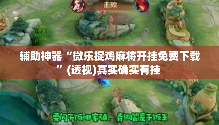 辅助神器“微乐捉鸡麻将开挂免费下载	”(透视)其实确实有挂 
