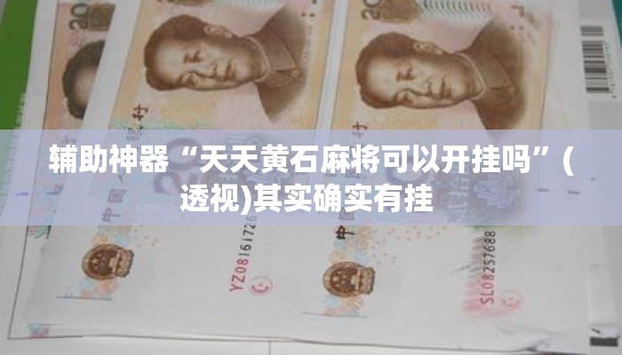 辅助神器“天天黄石麻将可以开挂吗	”(透视)其实确实有挂 