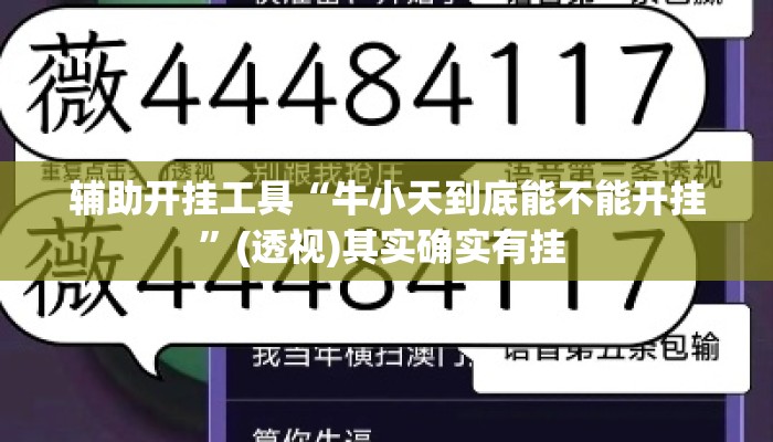辅助开挂工具“牛小天到底能不能开挂	”(透视)其实确实有挂 