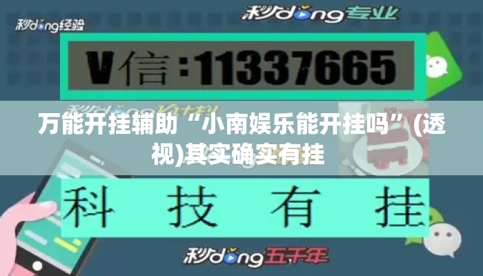 万能开挂辅助“小南娱乐能开挂吗”(透视)其实确实有挂 