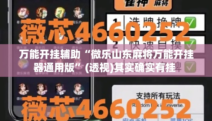 万能开挂辅助“微乐山东麻将万能开挂器通用版”(透视)其实确实有挂 