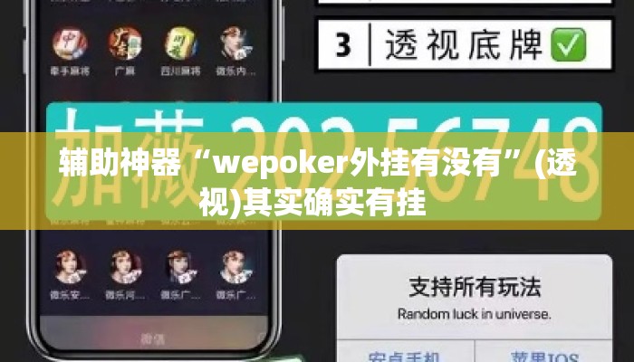 盘点一款“微乐河北麻将助赢神器购买	”(透视)其实确实有挂 