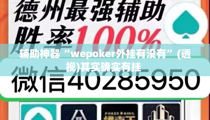 辅助神器“wepoker外挂有没有	”(透视)其实确实有挂 