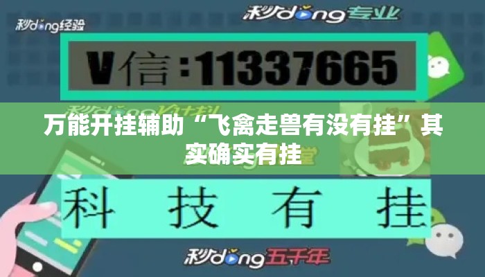 万能开挂辅助“飞禽走兽有没有挂	”其实确实有挂