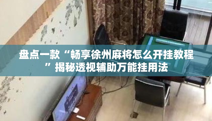 盘点一款“畅享徐州麻将怎么开挂教程”揭秘透视辅助万能挂用法