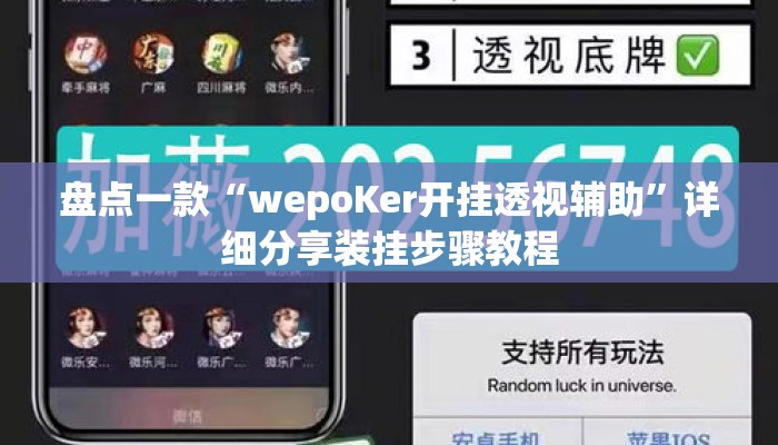 盘点一款“wepoKer开挂透视辅助”详细分享装挂步骤教程