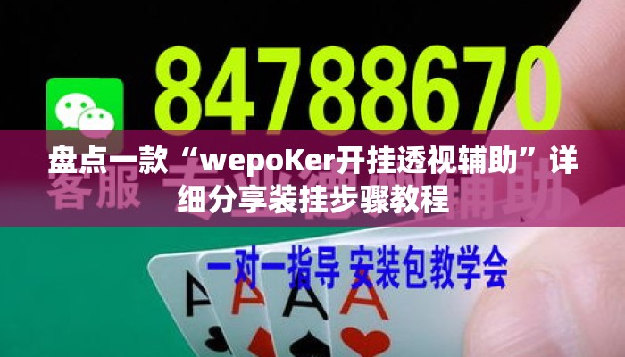 盘点一款“wepoKer开挂透视辅助	”详细分享装挂步骤教程