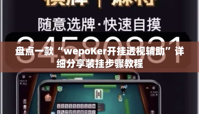 盘点一款“wepoKer开挂透视辅助”详细分享装挂步骤教程