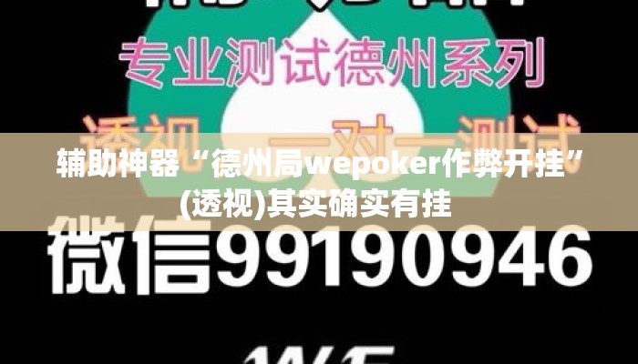 辅助神器“德州局wepoker作弊开挂”(透视)其实确实有挂 