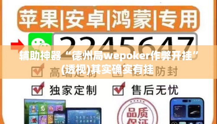 辅助神器“德州局wepoker作弊开挂	”(透视)其实确实有挂 