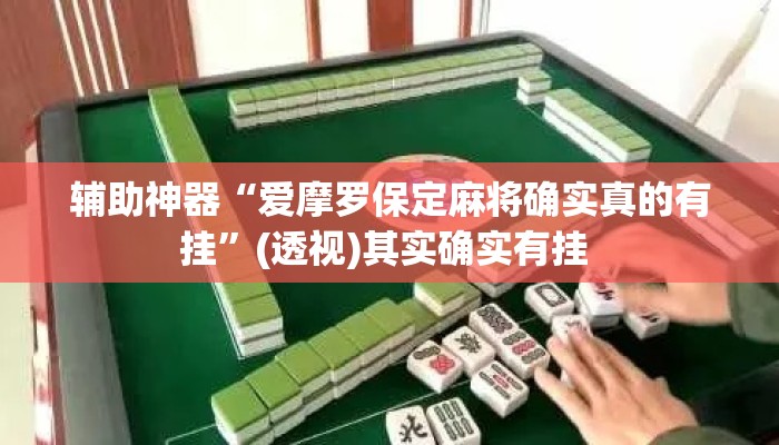 辅助神器“爱摩罗保定麻将确实真的有挂	”(透视)其实确实有挂 
