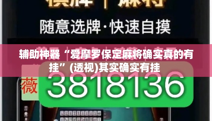 辅助神器“爱摩罗保定麻将确实真的有挂”(透视)其实确实有挂 