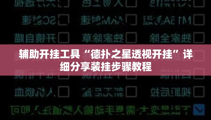 辅助开挂工具“德扑之星透视开挂”详细分享装挂步骤教程