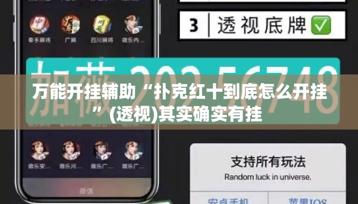 万能开挂辅助“扑克红十到底怎么开挂”(透视)其实确实有挂 