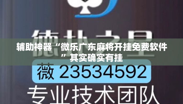辅助神器“微乐广东麻将开挂免费软件”其实确实有挂