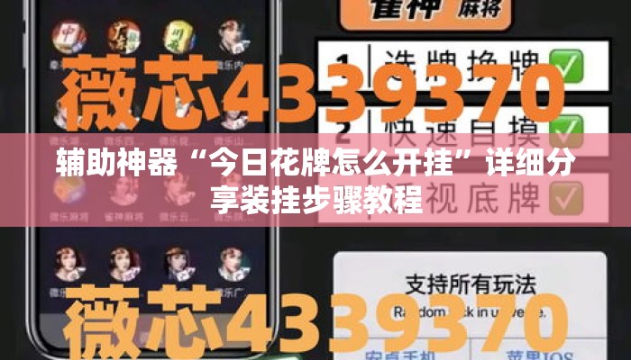 辅助神器“今日花牌怎么开挂”详细分享装挂步骤教程