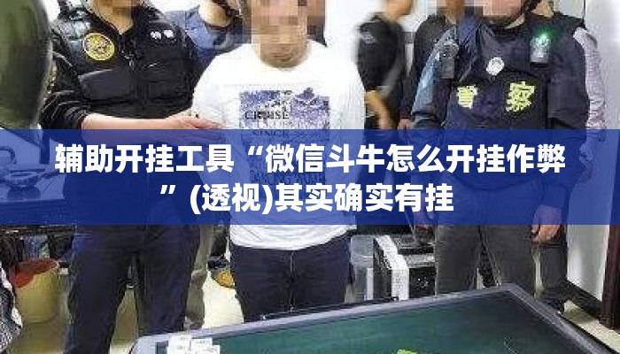 辅助开挂工具“微信斗牛怎么开挂作弊”(透视)其实确实有挂 