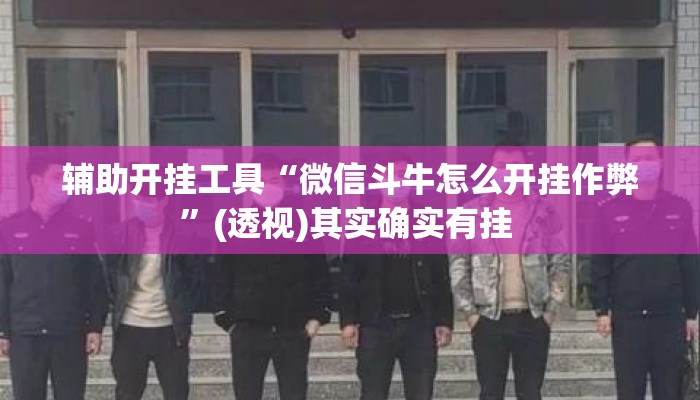 辅助开挂工具“微信斗牛怎么开挂作弊	”(透视)其实确实有挂 