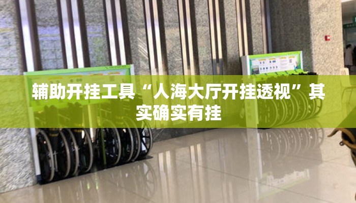 辅助开挂工具“人海大厅开挂透视	”其实确实有挂