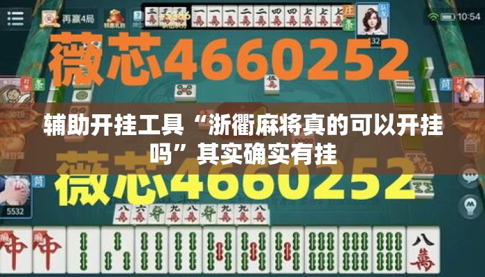辅助开挂工具“浙衢麻将真的可以开挂吗”其实确实有挂