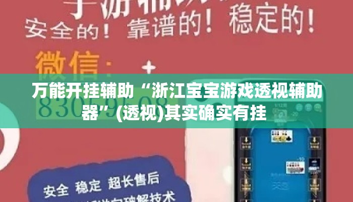 万能开挂辅助“浙江宝宝游戏透视辅助器”(透视)其实确实有挂 
