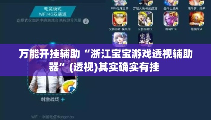 万能开挂辅助“浙江宝宝游戏透视辅助器”(透视)其实确实有挂 