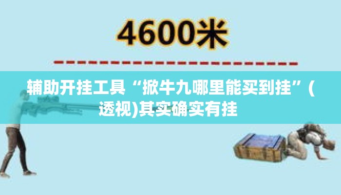 辅助开挂工具“掀牛九哪里能买到挂”(透视)其实确实有挂 